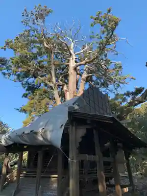 白山神社のその他建物