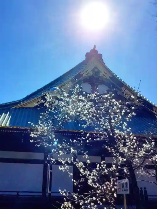 妙法寺(東京都)