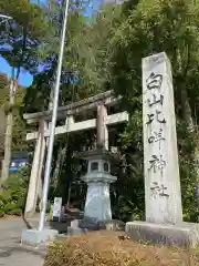 白山比咩神社の鳥居