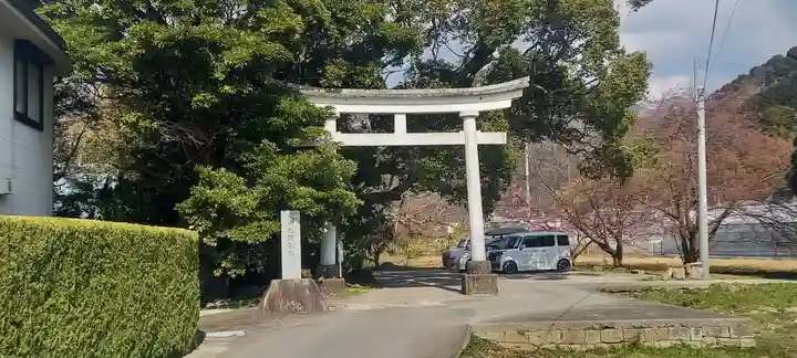 川津来宮神社の鳥居