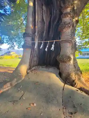 東福寺神社(長野県)