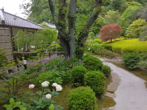 長壽寺（長寿寺）(神奈川県)