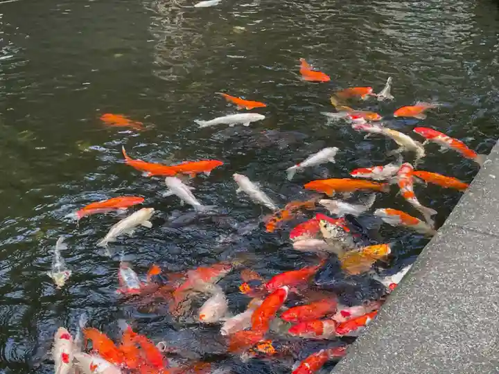 相模国総社六所神社の動物