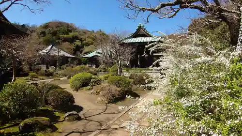 海蔵寺の庭園