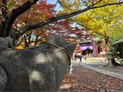 東門院(滋賀県)