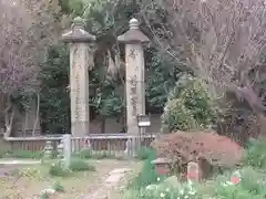 般若寺 ❁﻿コスモス寺❁(奈良県)