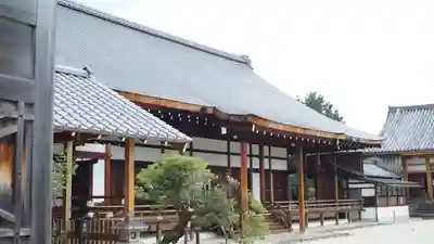 聖護院門跡の本殿・本堂