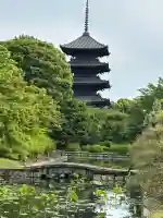 東寺(教王護国寺)の{uncategorized: "未分類", other: "その他", undefined: "問題あり", building: "その他建物", grave: "お墓", sacred_gate: "鳥居", guardian: "狛犬", statue: "像", buddha: "仏像", history: "歴史", nature: "自然", garden: "庭園", animal: "動物", pagoda: "塔", temizu: "手水舎", mountain_gate: "山門・神門", sanctuary: "本殿・本堂", subordinate: "末社・摂社", art: "芸術", scenery: "景色", jizo: "地蔵", ema: "絵馬", goshuin: "御朱印", omikuji: "おみくじ", items: "授与品その他", amulet: "お守り", goshuincho: "御朱印帳", eats: "食事", festival: "お祭り", votive_dance: "神楽", shichigosan: "七五三参", wedding: "結婚式", experience: "体験その他", initially: "初詣", around: "周辺", anti_infection: "感染症対策"}