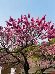 太宰府天満宮の自然