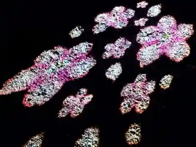 知恩院(京都府)