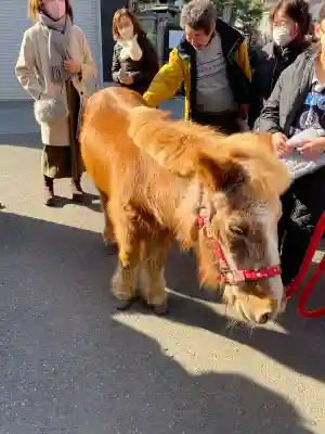 五方山熊野神社の{uncategorized: "未分類", other: "その他", undefined: "問題あり", building: "その他建物", grave: "お墓", sacred_gate: "鳥居", guardian: "狛犬", statue: "像", buddha: "仏像", history: "歴史", nature: "自然", garden: "庭園", animal: "動物", pagoda: "塔", temizu: "手水舎", mountain_gate: "山門・神門", sanctuary: "本殿・本堂", subordinate: "末社・摂社", art: "芸術", scenery: "景色", jizo: "地蔵", ema: "絵馬", goshuin: "御朱印", omikuji: "おみくじ", items: "授与品その他", amulet: "お守り", goshuincho: "御朱印帳", eats: "食事", festival: "お祭り", votive_dance: "神楽", shichigosan: "七五三参", wedding: "結婚式", experience: "体験その他", initially: "初詣", around: "周辺", anti_infection: "感染症対策"}
