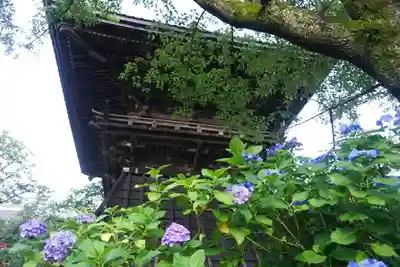 楽法寺（雨引観音）のその他建物