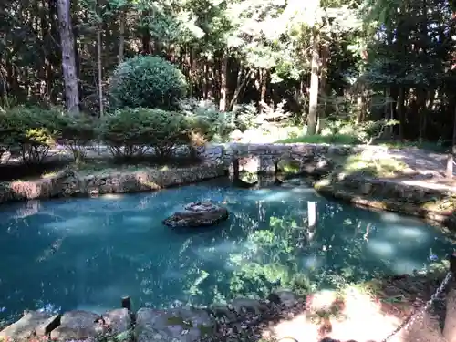 大麻比古神社の庭園