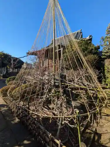 経王寺(東京都)