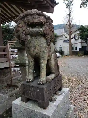 中川八幡神社の狛犬