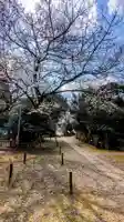 畑子安神社の自然