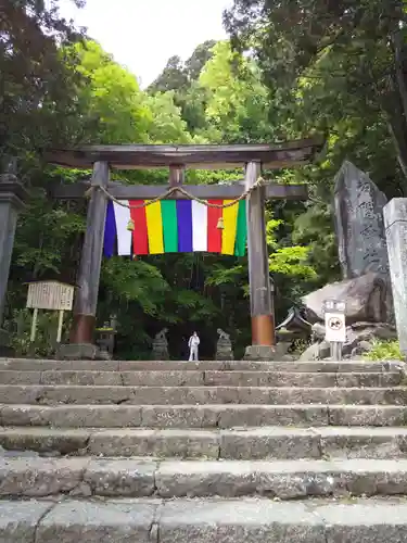 戸隠神社宝光社の鳥居