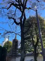 總持寺の自然