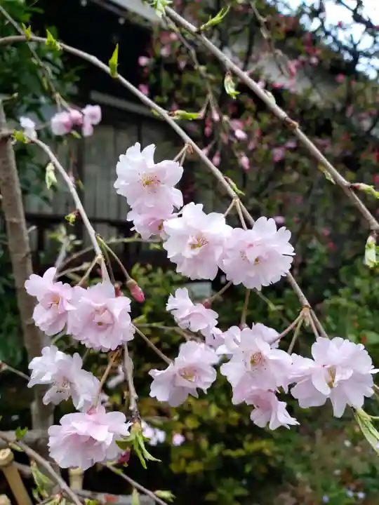 本郷氷川神社(東京都)