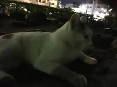 行徳弁天の森21の動物