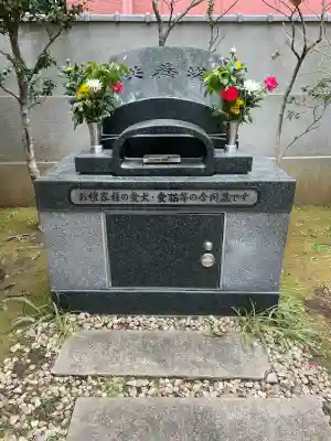 宗慶寺の{uncategorized: "未分類", other: "その他", undefined: "問題あり", building: "その他建物", grave: "お墓", sacred_gate: "鳥居", guardian: "狛犬", statue: "像", buddha: "仏像", history: "歴史", nature: "自然", garden: "庭園", animal: "動物", pagoda: "塔", temizu: "手水舎", mountain_gate: "山門・神門", sanctuary: "本殿・本堂", subordinate: "末社・摂社", art: "芸術", scenery: "景色", jizo: "地蔵", ema: "絵馬", goshuin: "御朱印", omikuji: "おみくじ", items: "授与品その他", amulet: "お守り", goshuincho: "御朱印帳", eats: "食事", festival: "お祭り", votive_dance: "神楽", shichigosan: "七五三参", wedding: "結婚式", experience: "体験その他", initially: "初詣", around: "周辺", anti_infection: "感染症対策"}