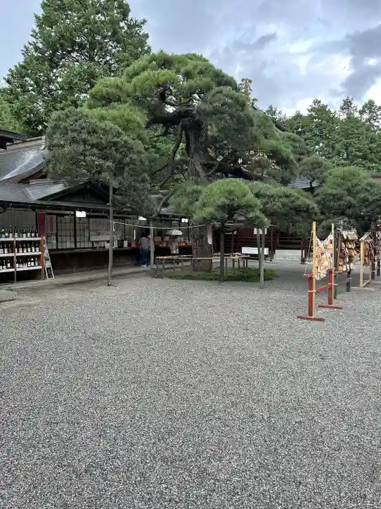 甲斐國一宮 浅間神社(山梨県)
