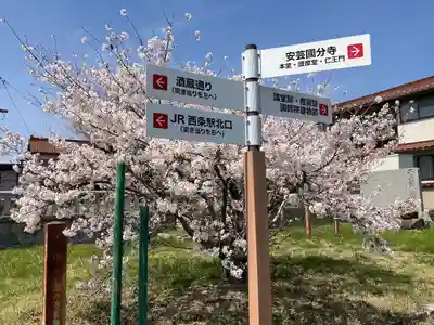 国分寺(広島県)