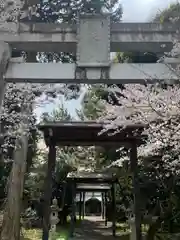 東天神社の鳥居