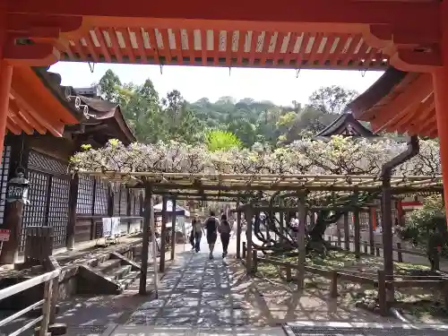 春日大社(奈良県)