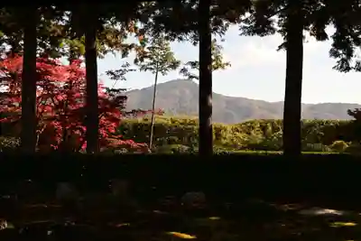 圓通寺(京都府)