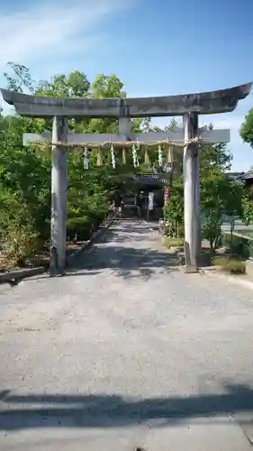 都麻津姫神社の鳥居