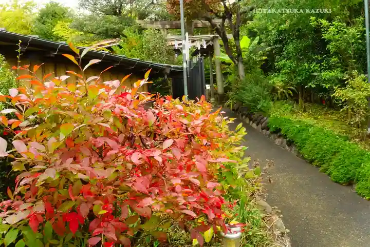 横浜御嶽神社(神奈川県)