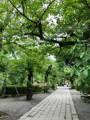 三嶋大社(静岡県)