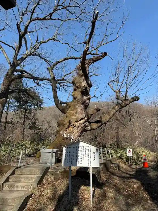 那須温泉神社(栃木県)