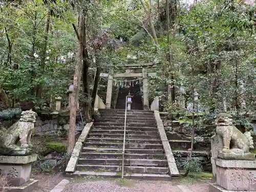 美具久留御魂神社の狛犬