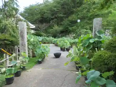 正蓮寺のその他建物