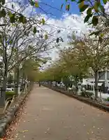 鶴岡八幡宮(神奈川県)
