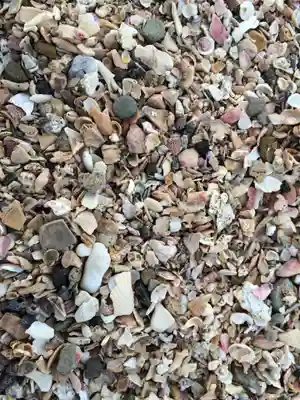 青島神社（青島神宮）(宮崎県)