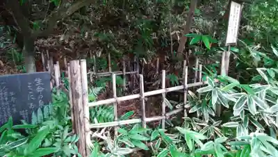 天台宗　長窪山　正覚寺のその他建物