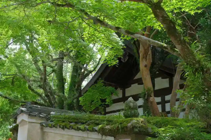 春日大社のその他建物