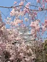 千姫天満宮の周辺