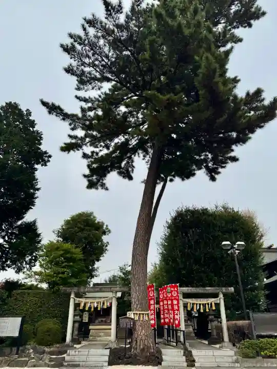中野沼袋氷川神社の{uncategorized: "未分類", other: "その他", undefined: "問題あり", building: "その他建物", grave: "お墓", sacred_gate: "鳥居", guardian: "狛犬", statue: "像", buddha: "仏像", history: "歴史", nature: "自然", garden: "庭園", animal: "動物", pagoda: "塔", temizu: "手水舎", mountain_gate: "山門・神門", sanctuary: "本殿・本堂", subordinate: "末社・摂社", art: "芸術", scenery: "景色", jizo: "地蔵", ema: "絵馬", goshuin: "御朱印", omikuji: "おみくじ", items: "授与品その他", amulet: "お守り", goshuincho: "御朱印帳", eats: "食事", festival: "お祭り", votive_dance: "神楽", shichigosan: "七五三参", wedding: "結婚式", experience: "体験その他", initially: "初詣", around: "周辺", anti_infection: "感染症対策"}