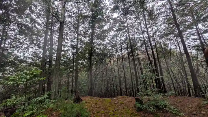 秋葉神社(京都府)