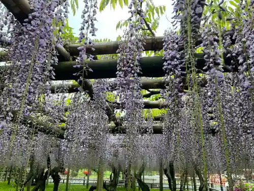 平等院(京都府)