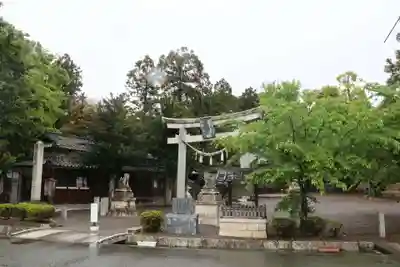 石津十禅師 日吉神社(新旭町針江)(滋賀県)