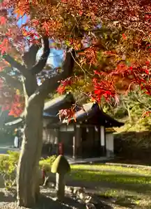 蚊里田八幡宮(長野県)(2025年11月10日(月) 18時13分19秒投稿)