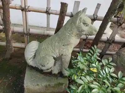 菟橋神社の狛犬
