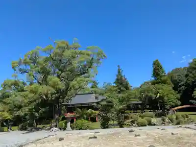 宇佐神宮(大分県)