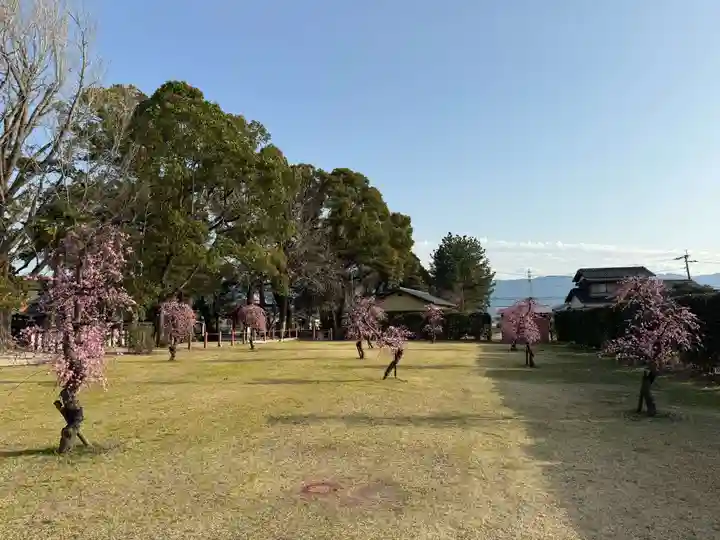 美奈宜神社(福岡県)