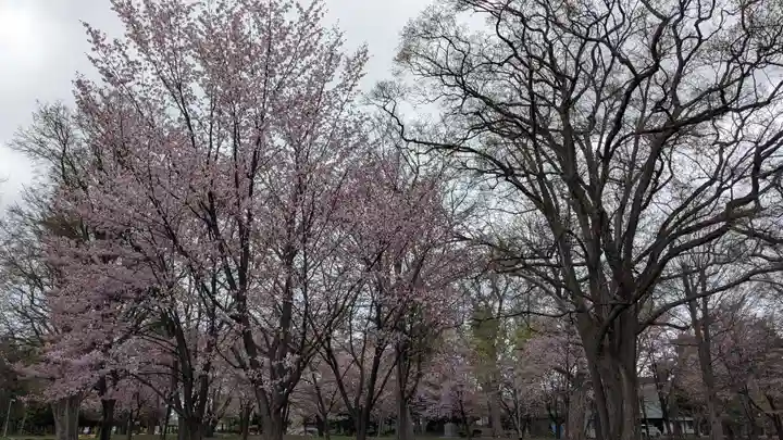 上川神社頓宮の自然
